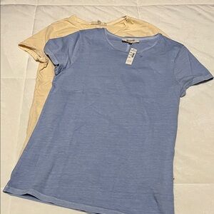 Madewell Light Blue and Cream BabyTees